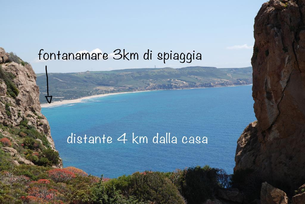 הוילה Nebida Il Sogno Tanca Piras מראה חיצוני תמונה